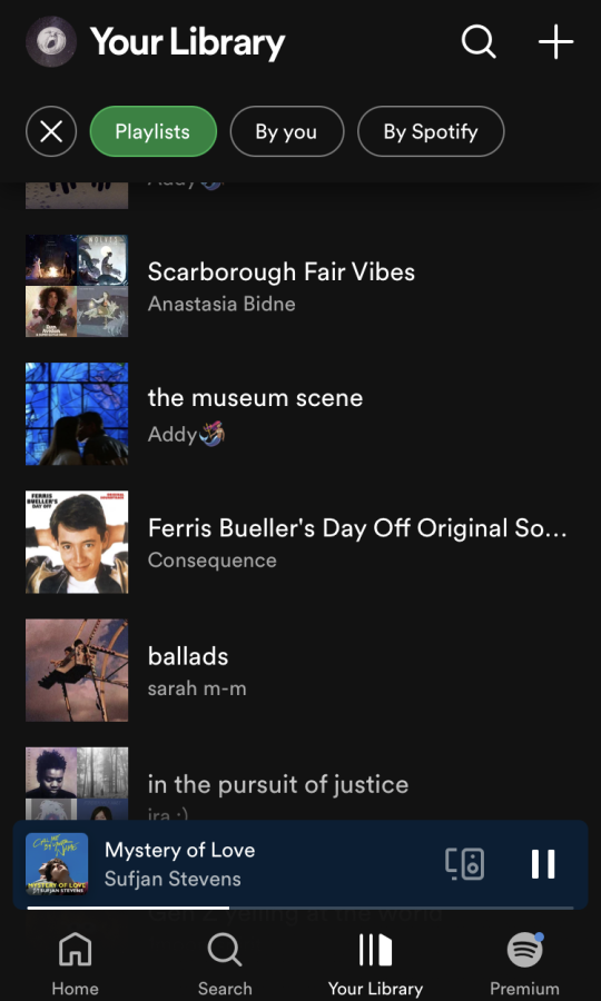 Finding pieces of your own experience in someone else’s playlist tells you that you’re human just like everyone else, wrapped up in a little list, title, and cover.