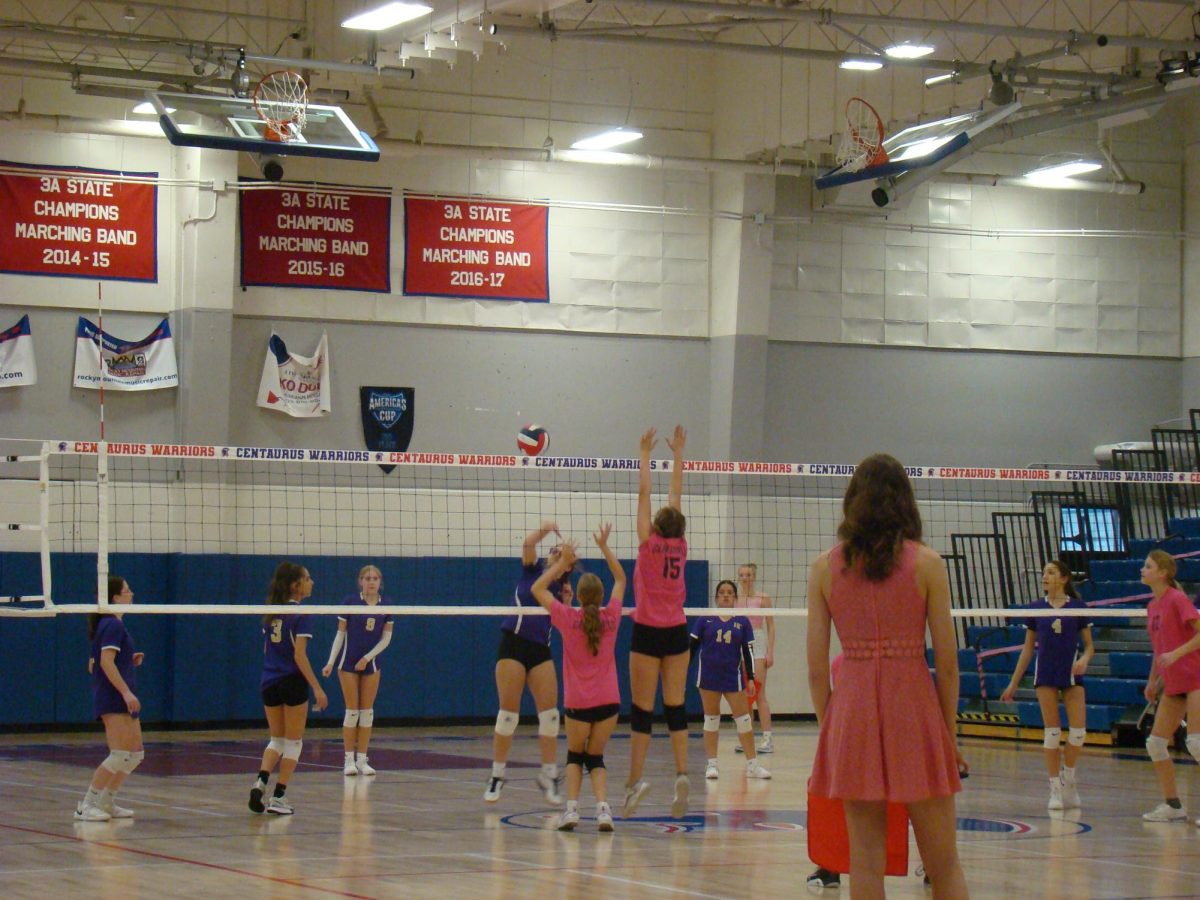 Dig pink volleyball game. 