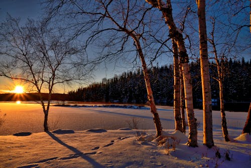 Wintery scene with water.