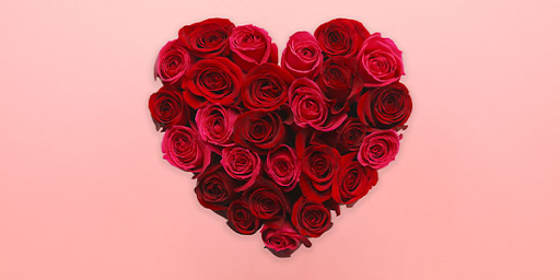 Photo from Rio Roses